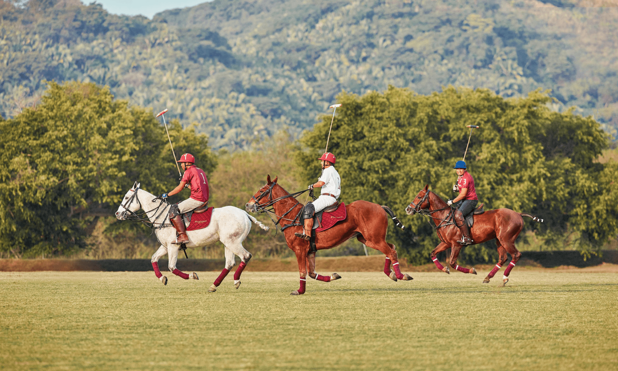 polo players race on horses to ball in open polo field with mountain views